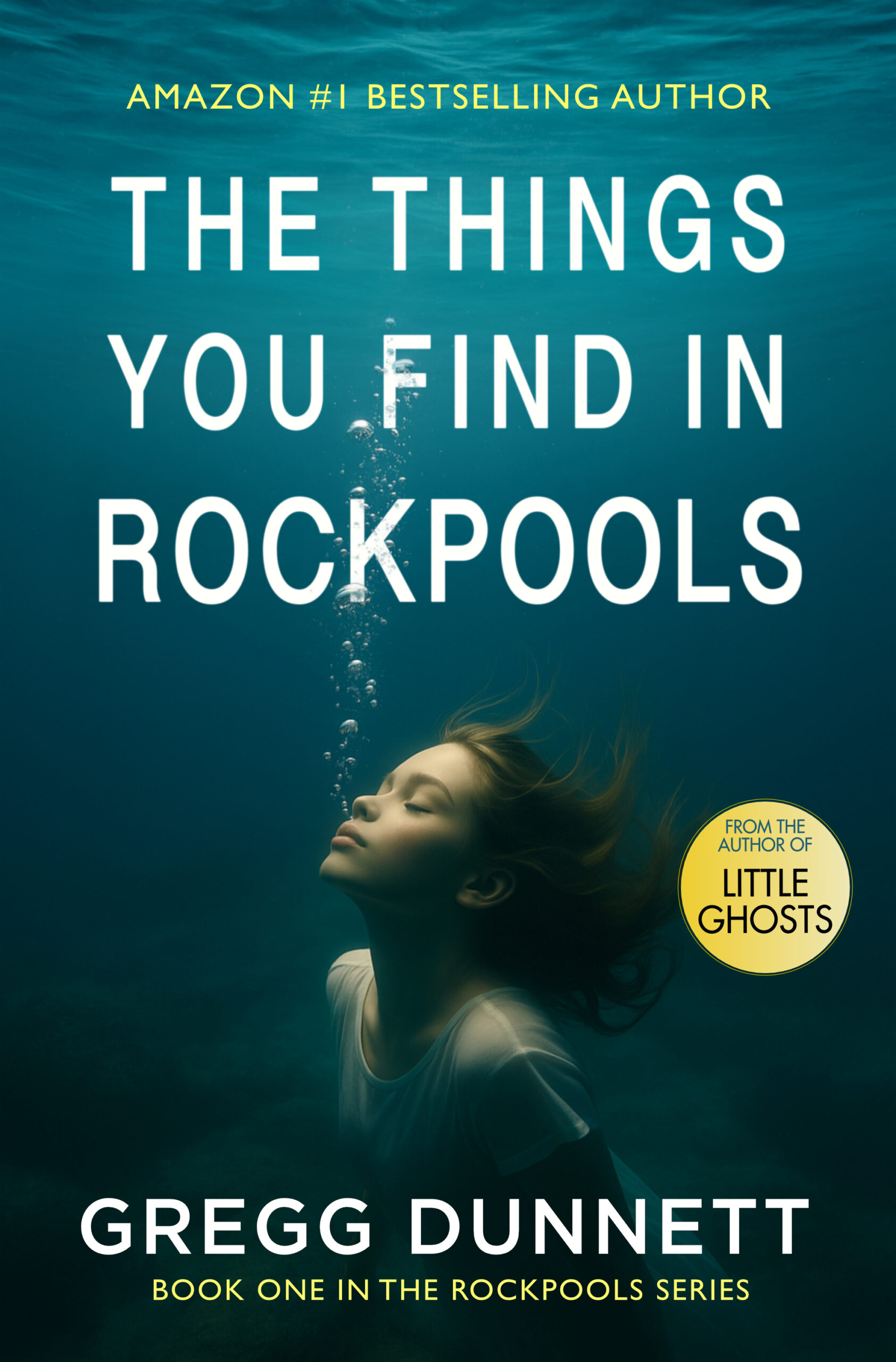 The Things You Find in Rockpools cover